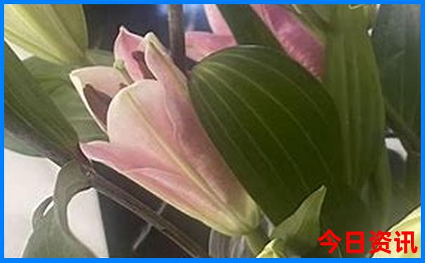 阳泉景点排行榜前十名