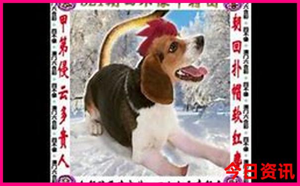 韩国有什么好玩的地方景点推荐